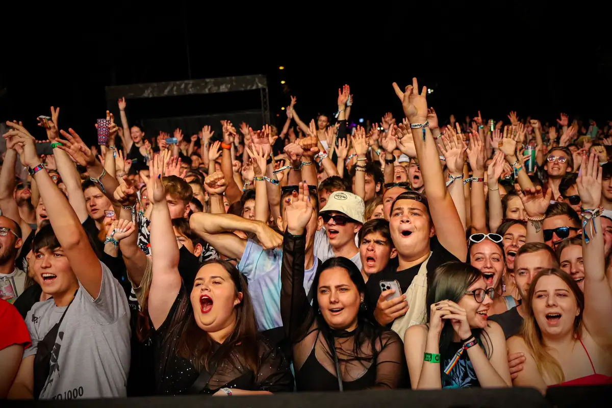 Crowd with raised arms at a concert